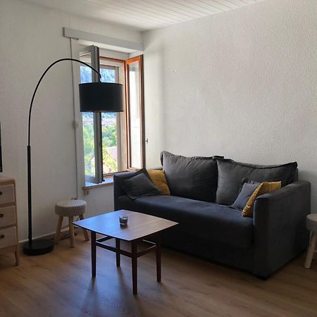 Apartamento T2 Avec Terrasse Calme Et Ensoleillee Saint-Claude Exterior foto